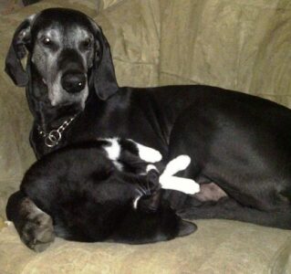 A Year of Farming, A Year of Death Image